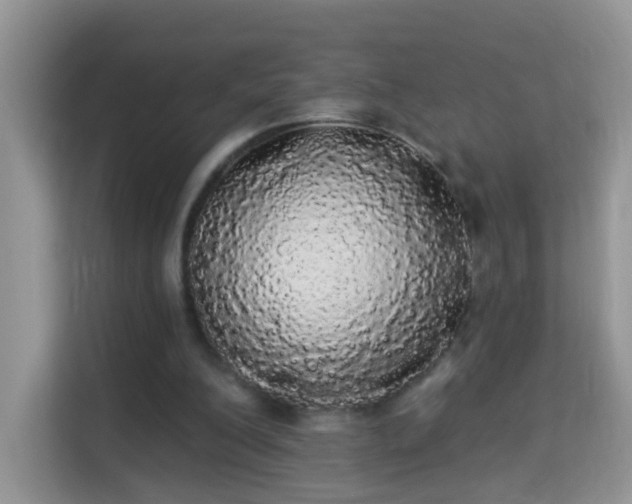 X0000113980200200910091325