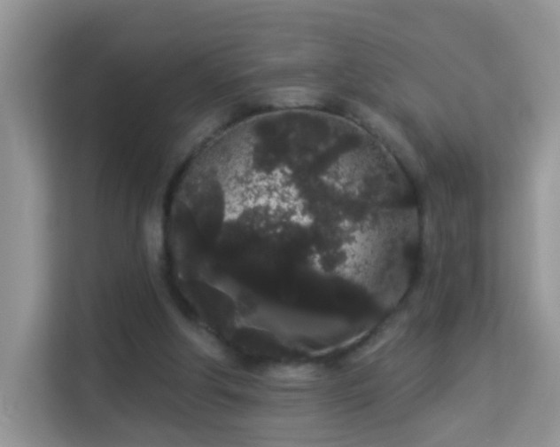 X0000113980202200910091325