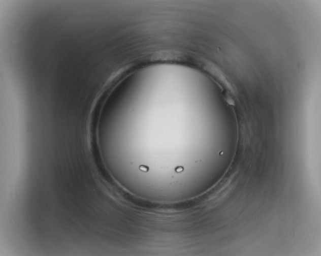 X0000113980203200910091325