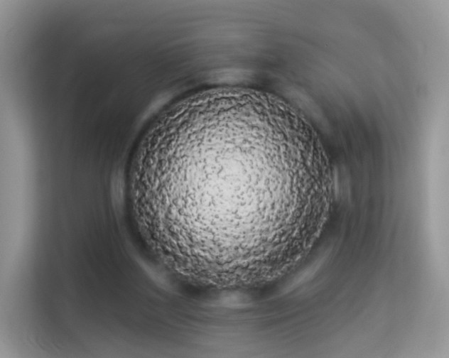 X0000113980204200910091325