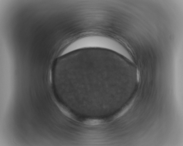 X0000113980205200910091325