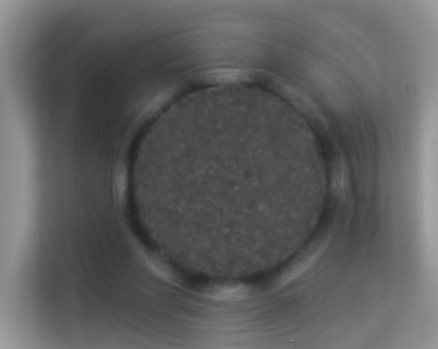 X0000113980206200910091325