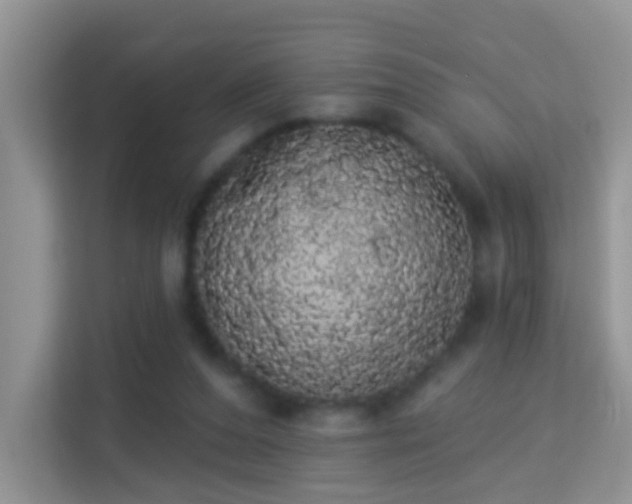 X0000113980208200910091325