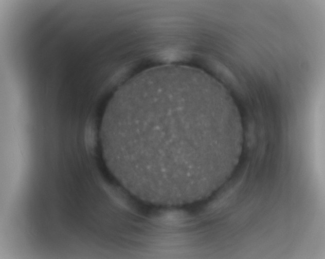 X0000113980210200910091325