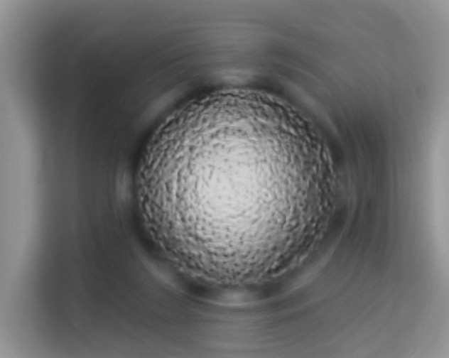 X0000113980212200910091324