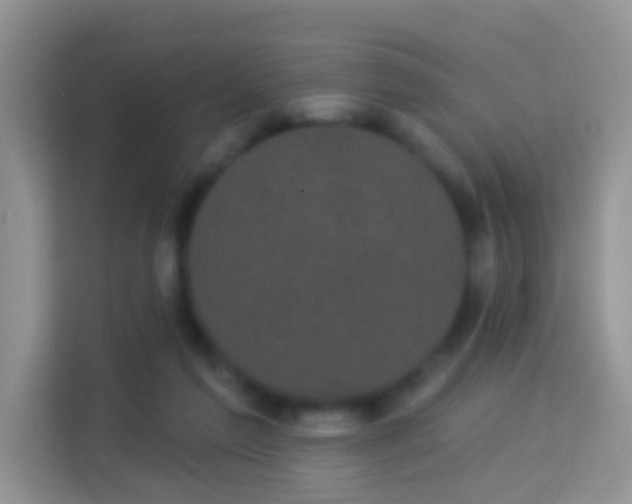 X0000113980213200910091324