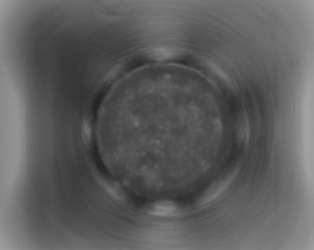 X0000113980214200910091324