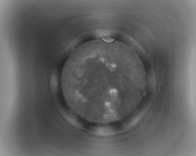 X0000113980215200910091324