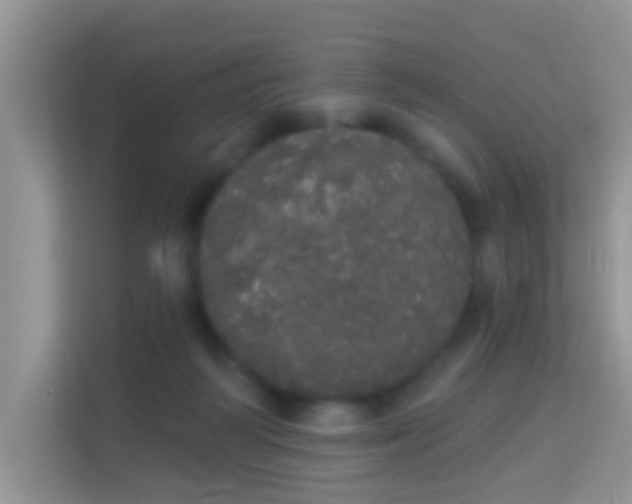 X0000113980218200910091324