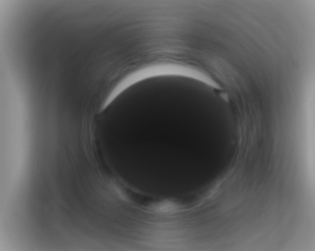 X0000113980219200910091324