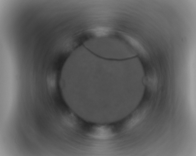 X0000113980221200910091324