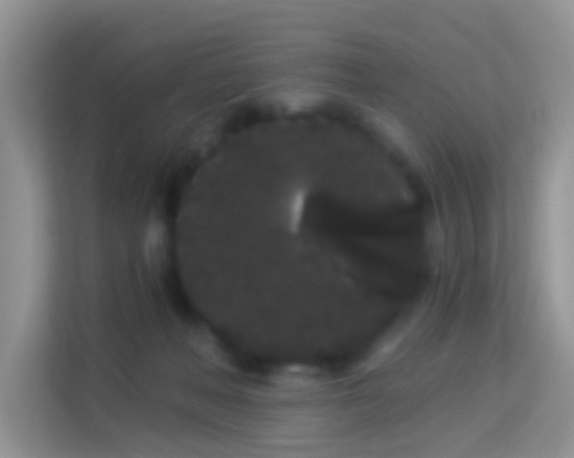 X0000113980222200910091324