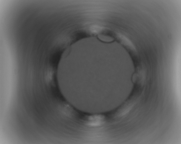 X0000113980225200910091324