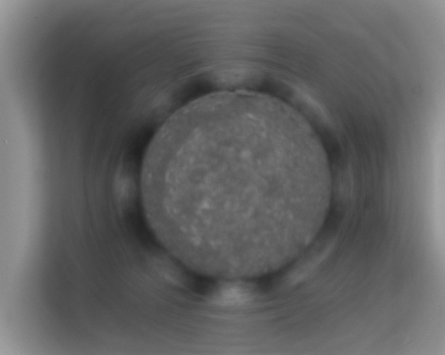 X0000113980226200910091324