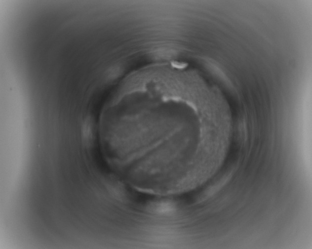 X0000113980228200910091324