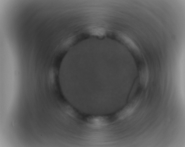 X0000113980229200910091324