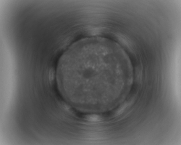 X0000113980230200910091324