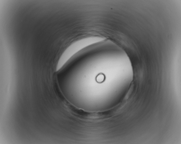 X0000113980231200910091324