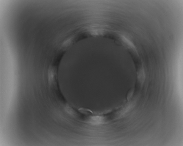 X0000113980233200910091324