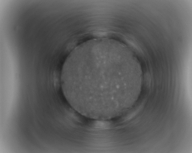 X0000113980234200910091324