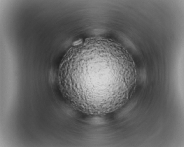 X0000113980236200910091324