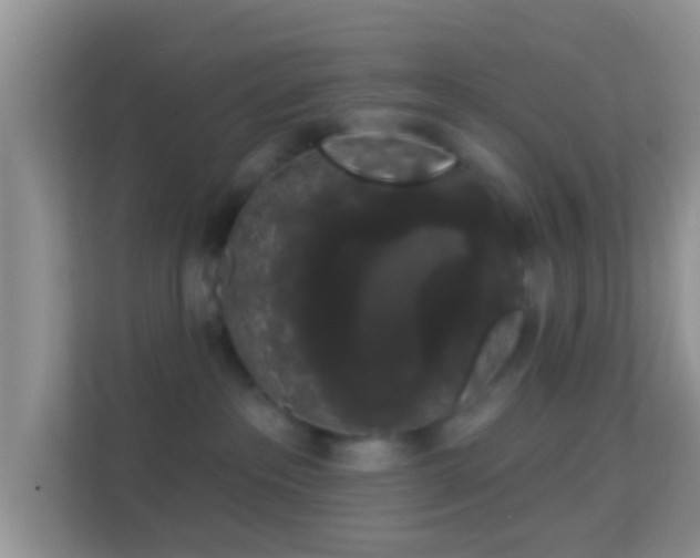 X0000113980237200910091324