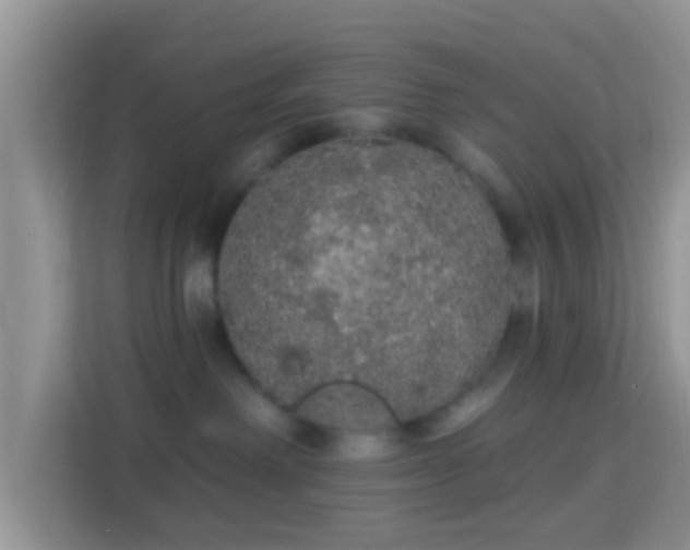 X0000113980238200910091324