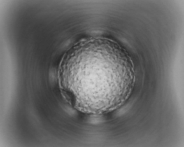 X0000113980240200910091324