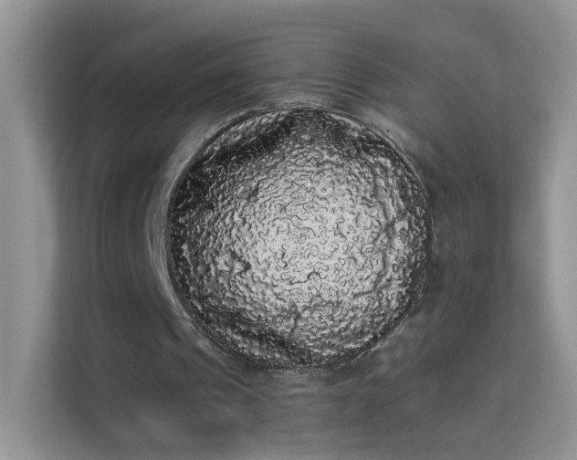 X0000113980241200910091323