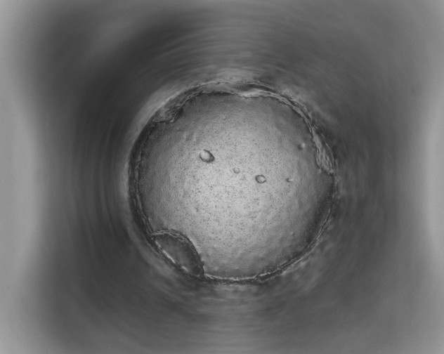 X0000113980242200910091324