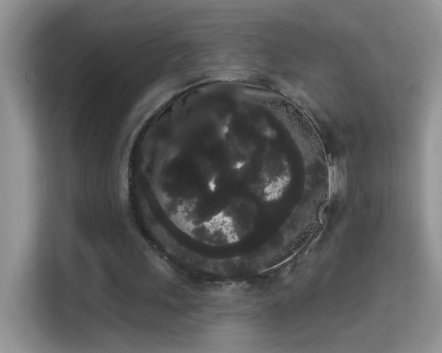 X0000113980243200910091324