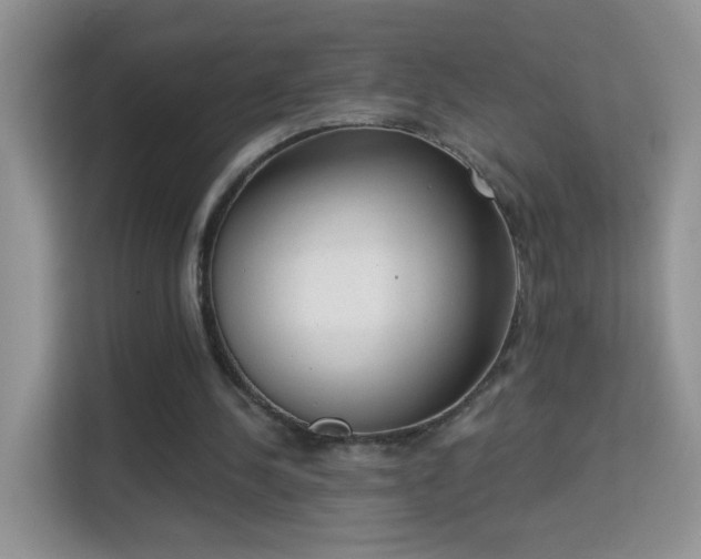 X0000113980244200910091324