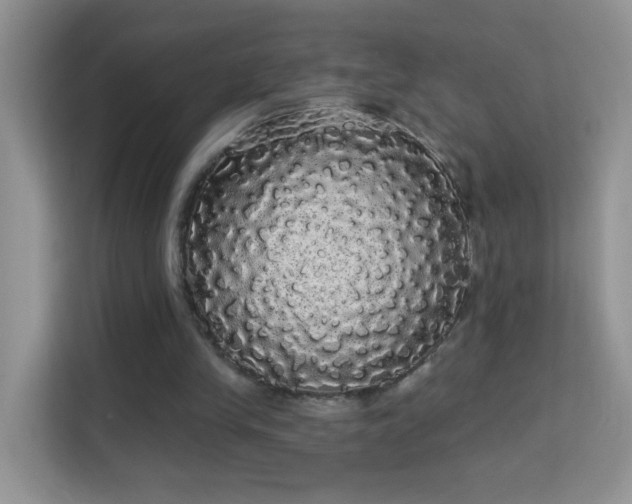 X0000113980245200910091324