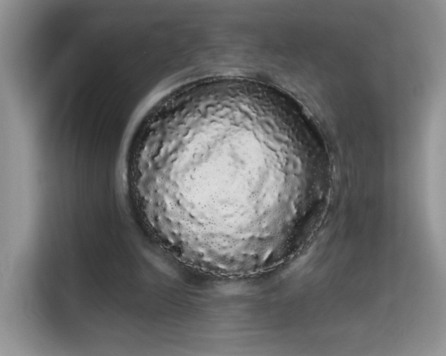 X0000113980246200910091324