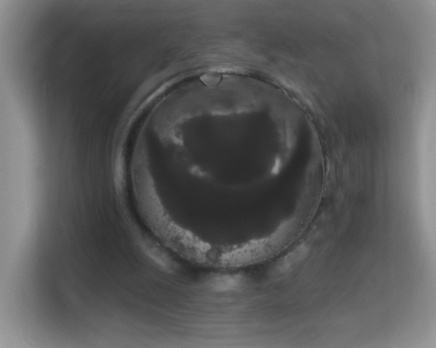 X0000113980247200910091324