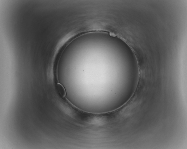 X0000113980248200910091324