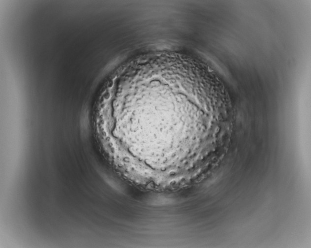 X0000113980250200910091324