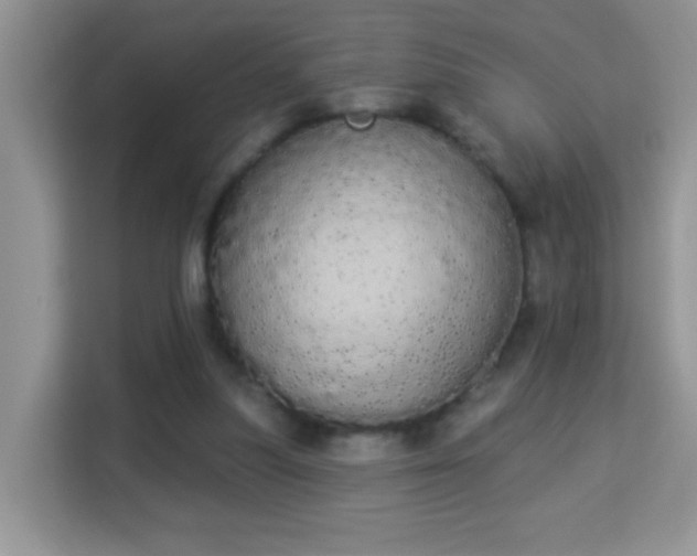 X0000113980251200910091324