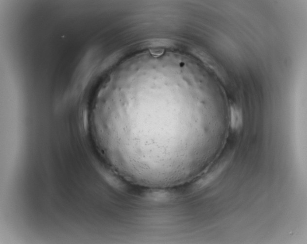 X0000113980253200910091324