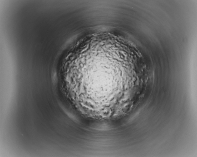 X0000113980254200910091324