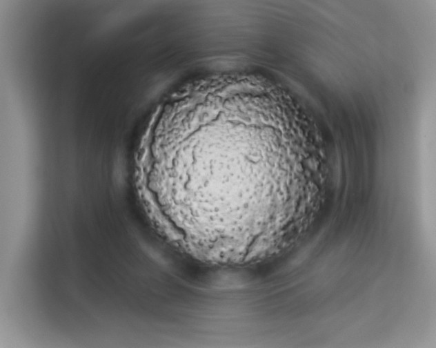 X0000113980255200910091324