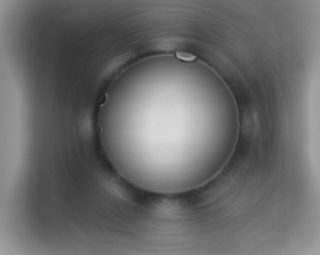 X0000113980256200910091324