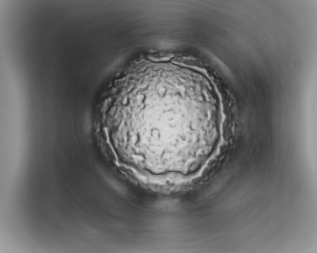 X0000113980257200910091324