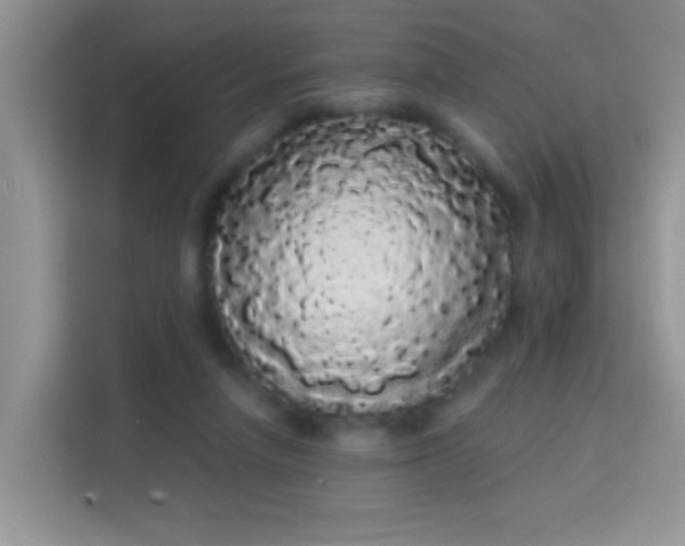 X0000113980258200910091324