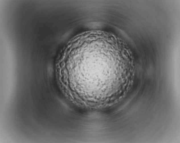 X0000113980259200910091324