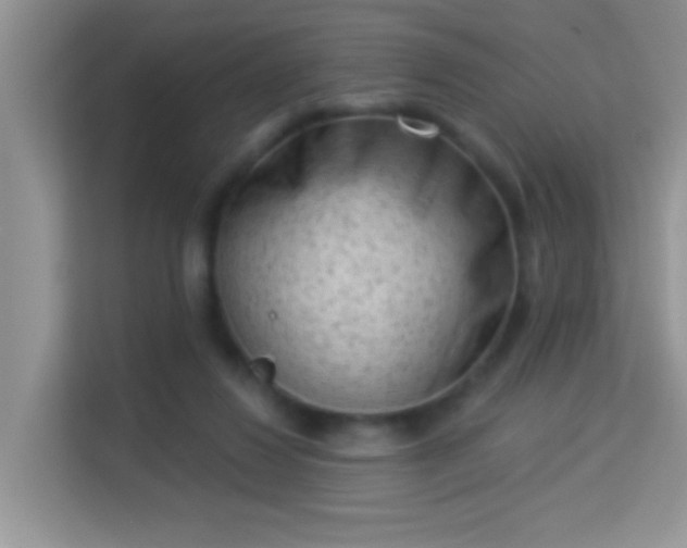 X0000113980260200910091324