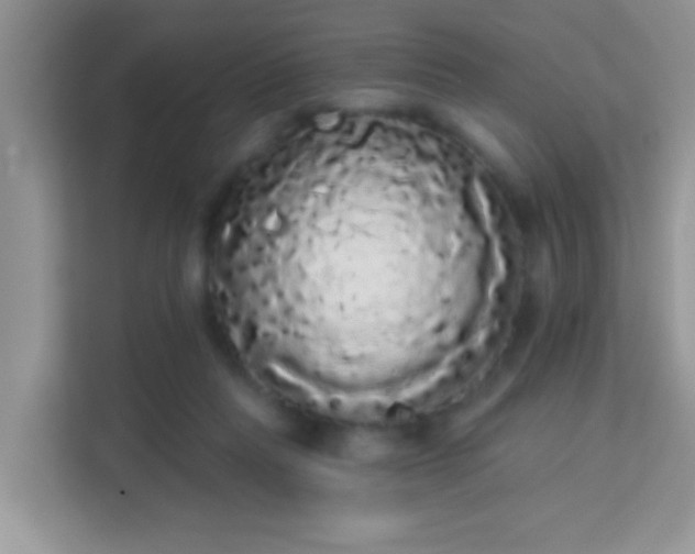 X0000113980261200910091324