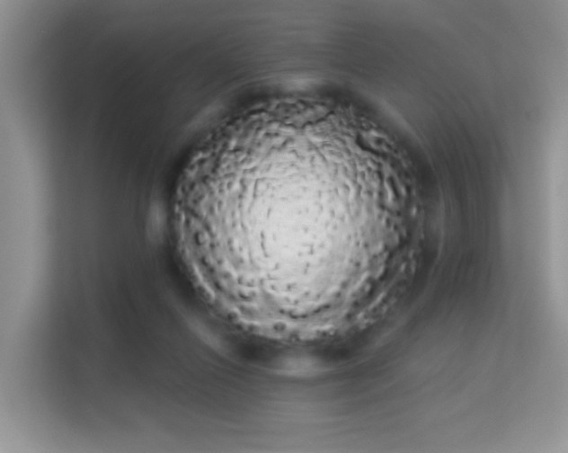 X0000113980262200910091324