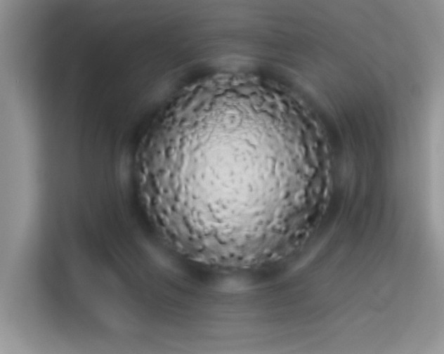 X0000113980263200910091324