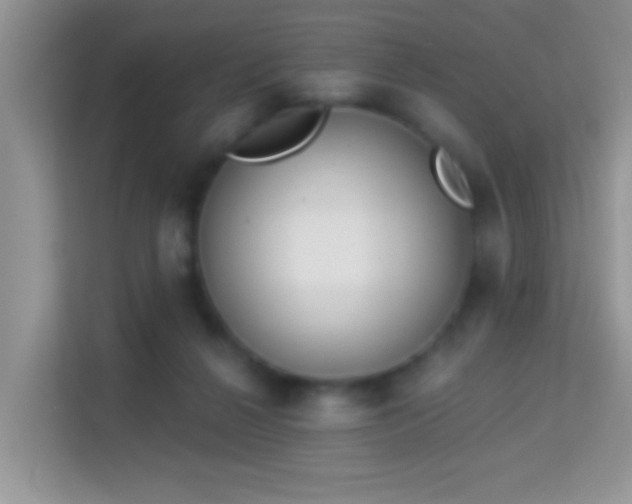 X0000113980264200910091324